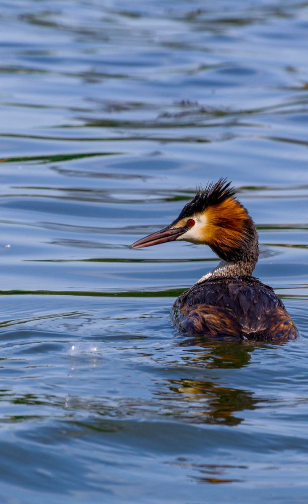 Фотография автора Vladislav Shilo