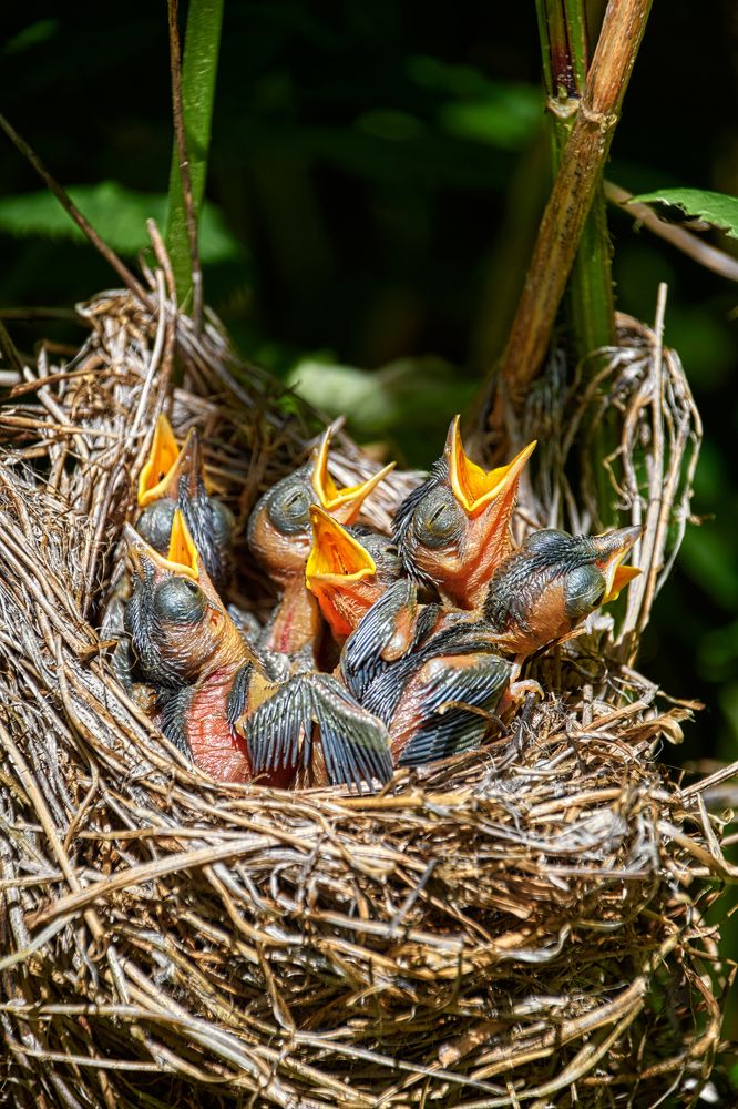 Photograph by Александр Горский