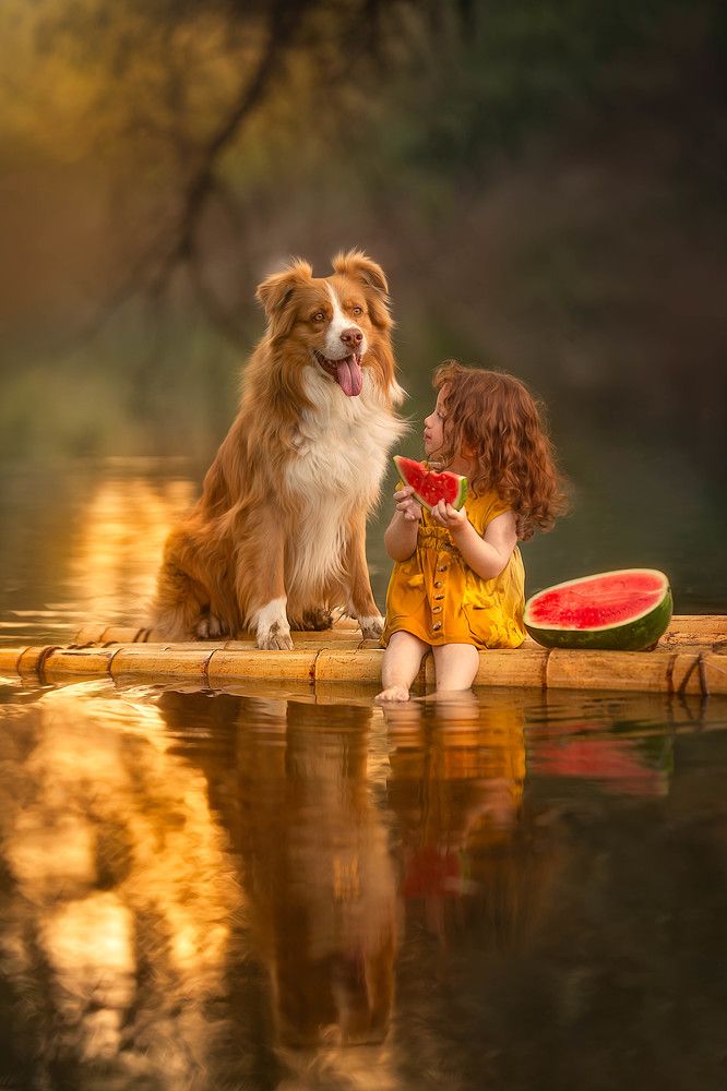 Photograph by yarden kaplan