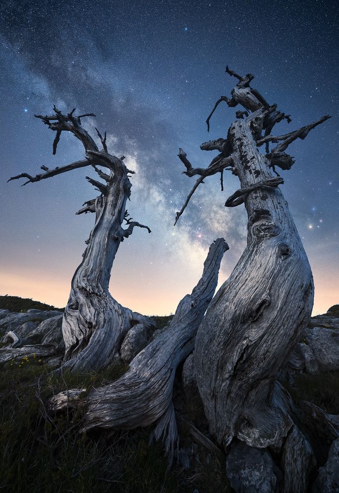 Photograph by Roksolyana Hilevych