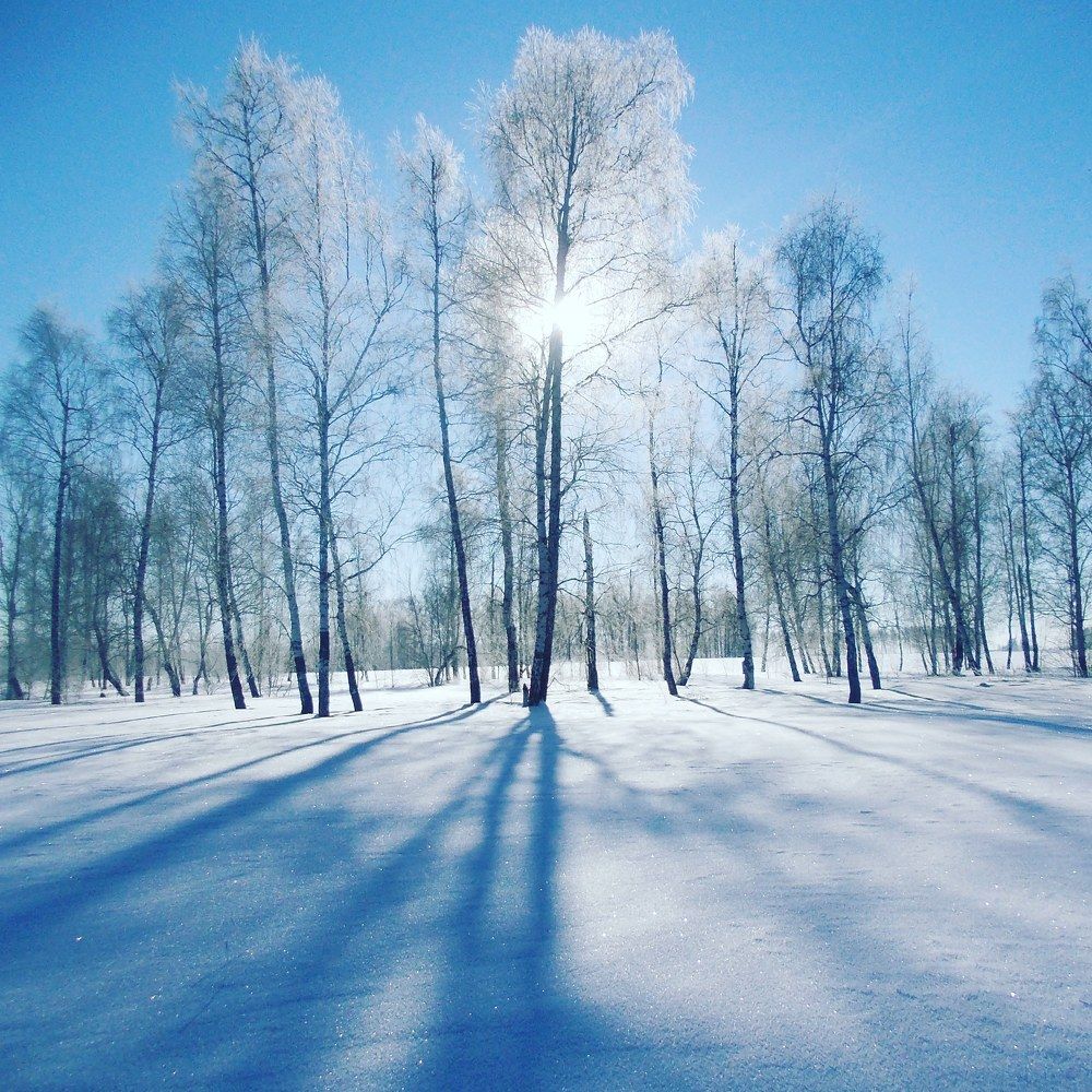 Photograph by Сергей Морозов