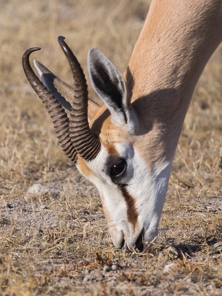 Photograph by Марина Маликова