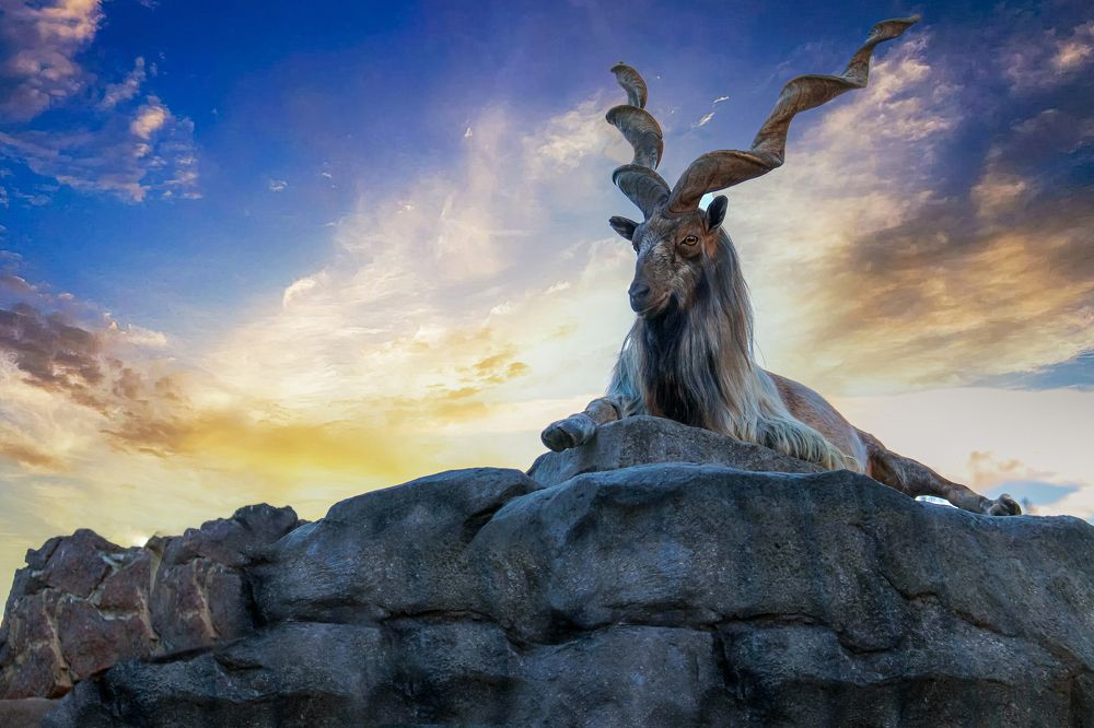 Фотография автора Лариса Рулёва