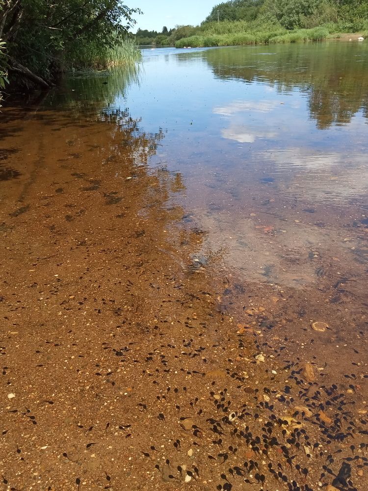 Photograph by Любовь Шаврина