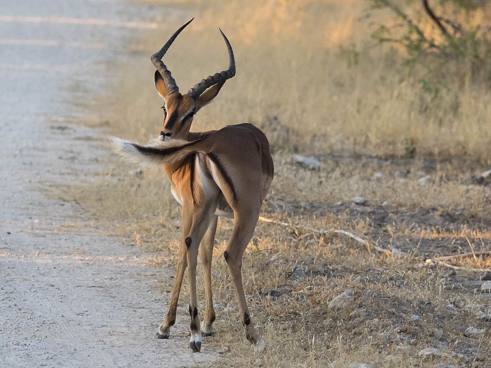 Photograph by Марина Маликова