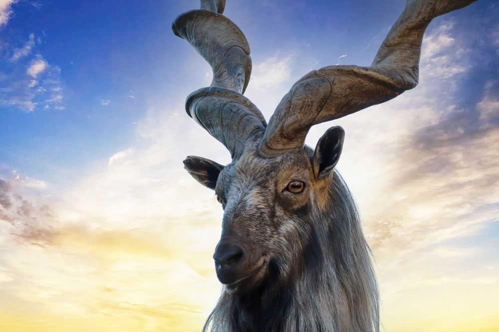 Фотография автора Лариса Рулёва