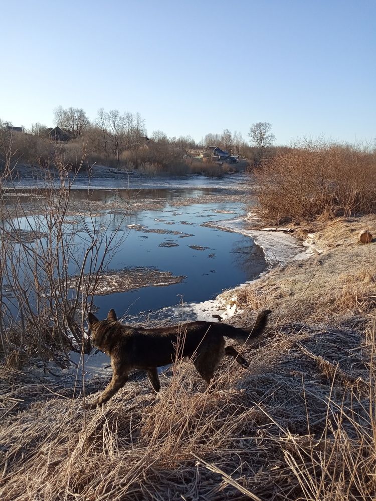 Photograph by Любовь Шаврина