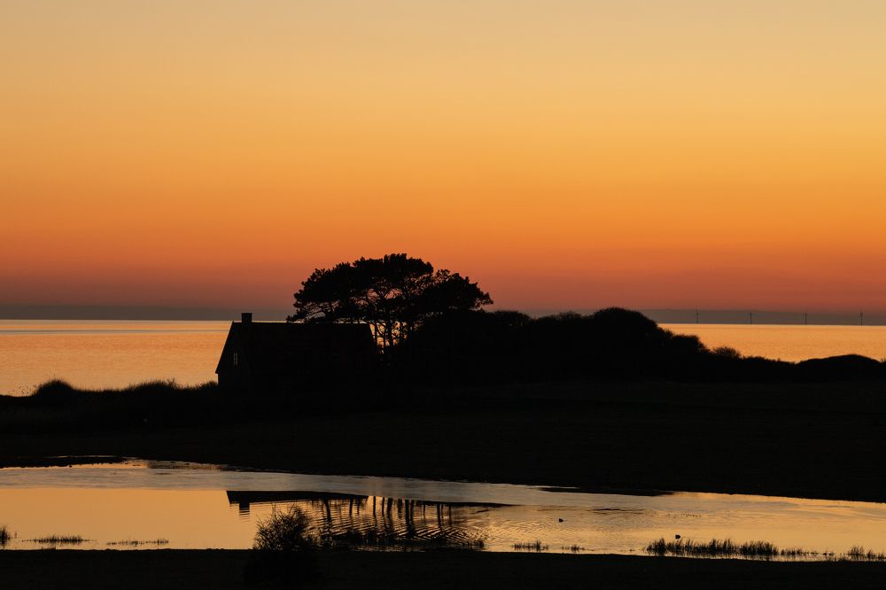 Photograph by Sergejs Demjanenko