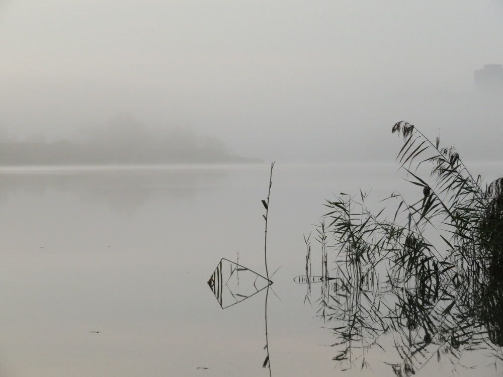 Photograph by Мария Кодун-Иванова