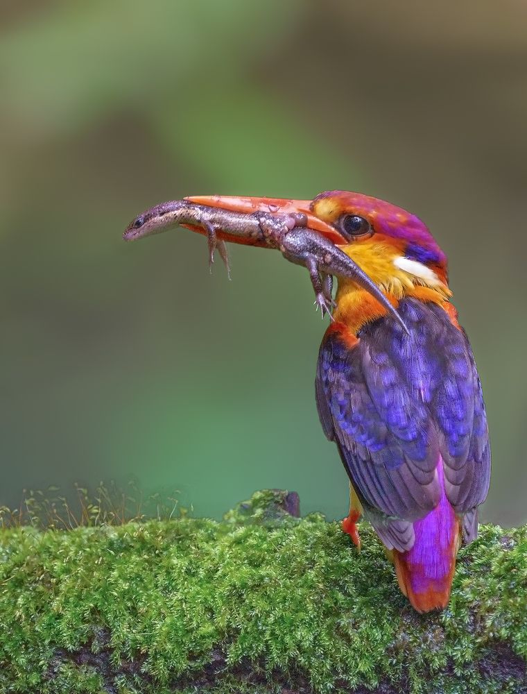 Photograph by Rahul Wedpathak