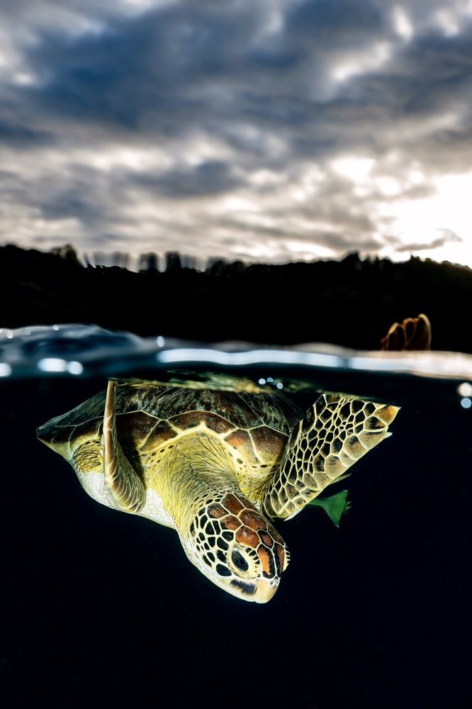 Photograph by Serge Melesan