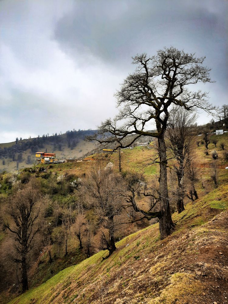 Nature of northern Iran