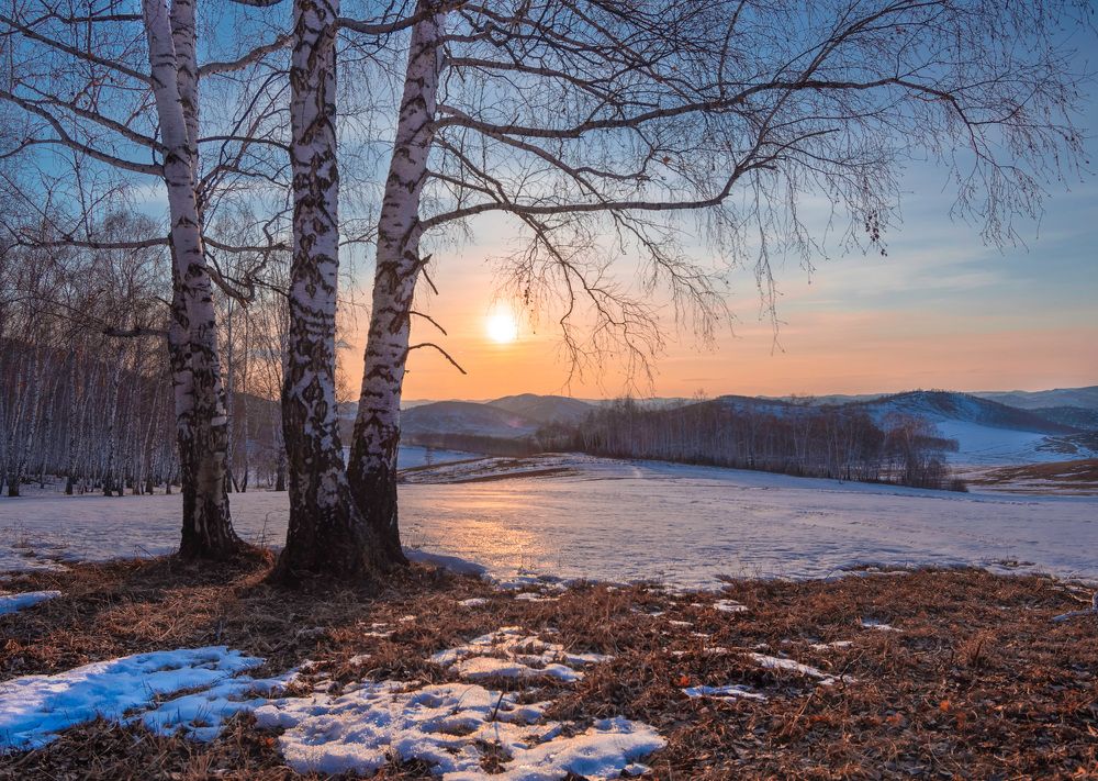 Весенний вечер.