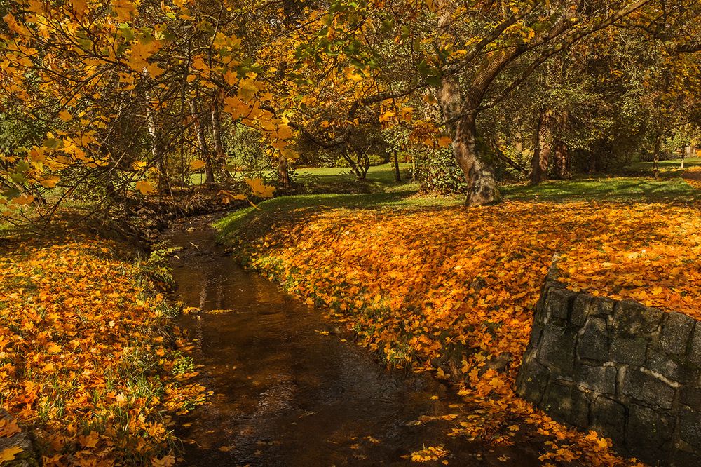 Photograph by Виктория Солодар