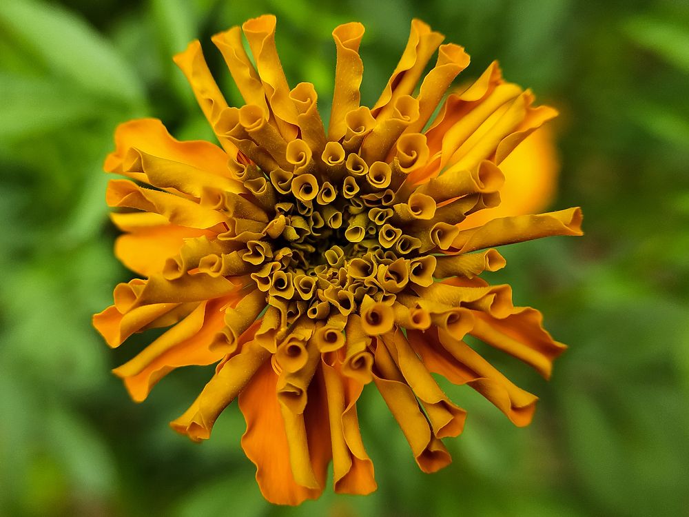 Photograph by HariKrishnan ms