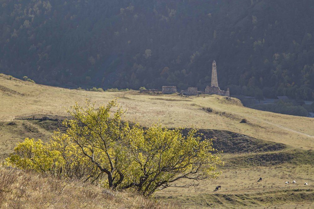 Ингушетия. Осень.