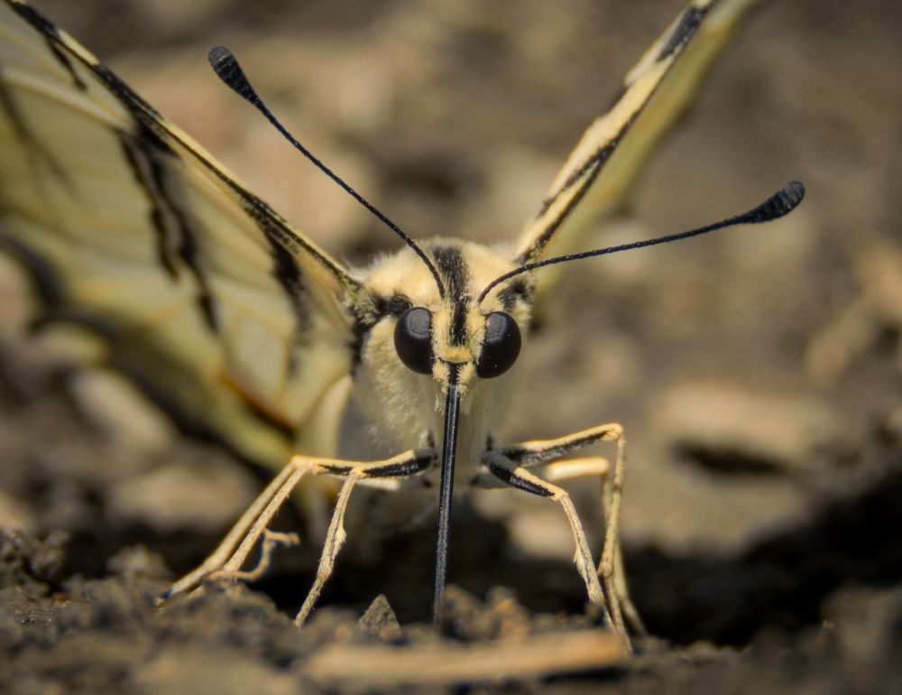 Photograph by Bahrami Ashkan