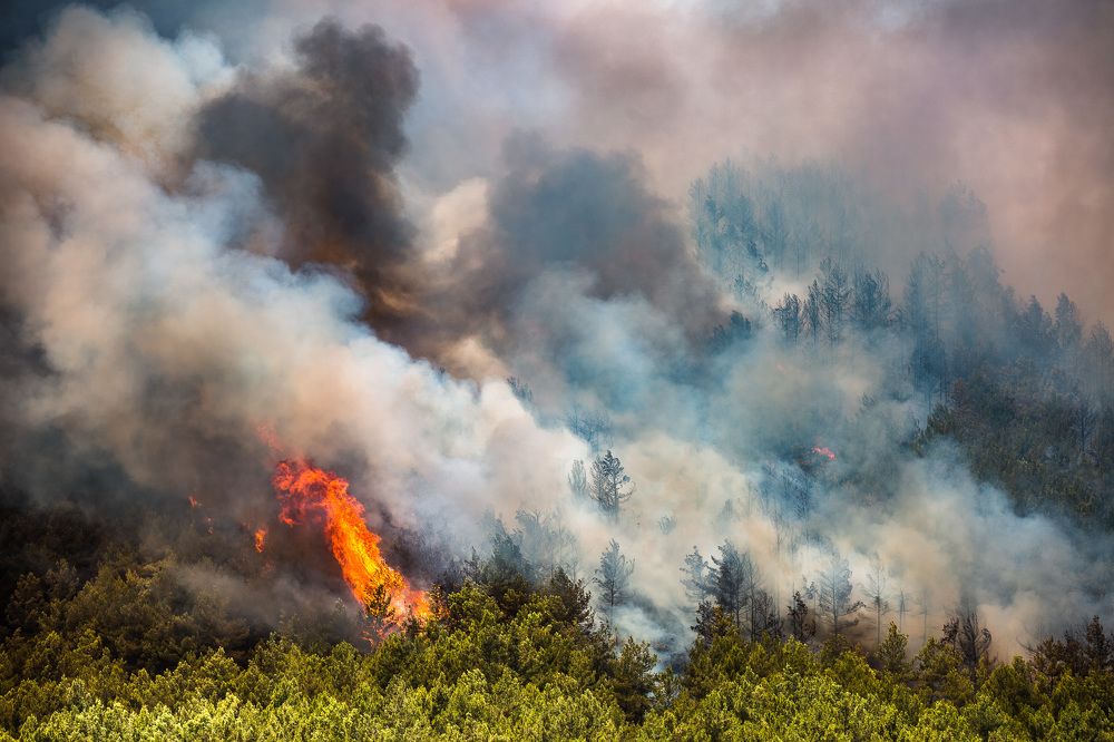 Photograph by Georgy Akimov