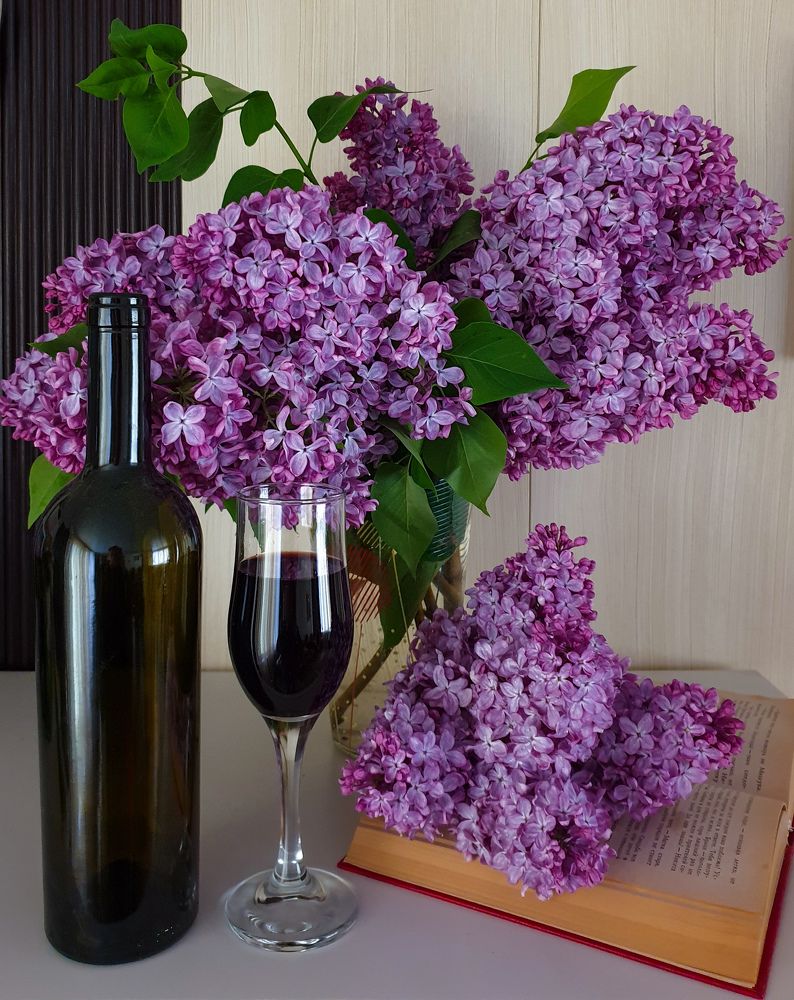 Сирень с Вином