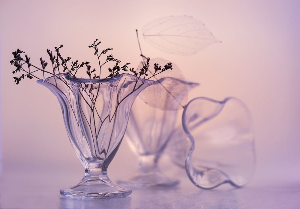 Photograph by Виктория Солодар