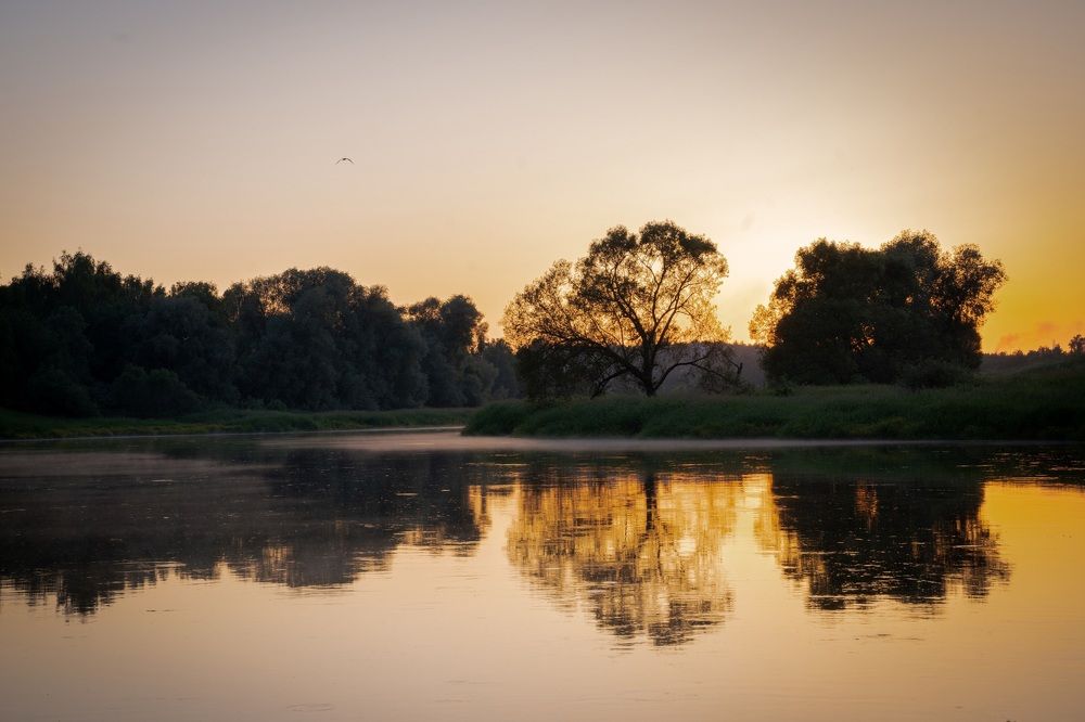 Photograph by Аза