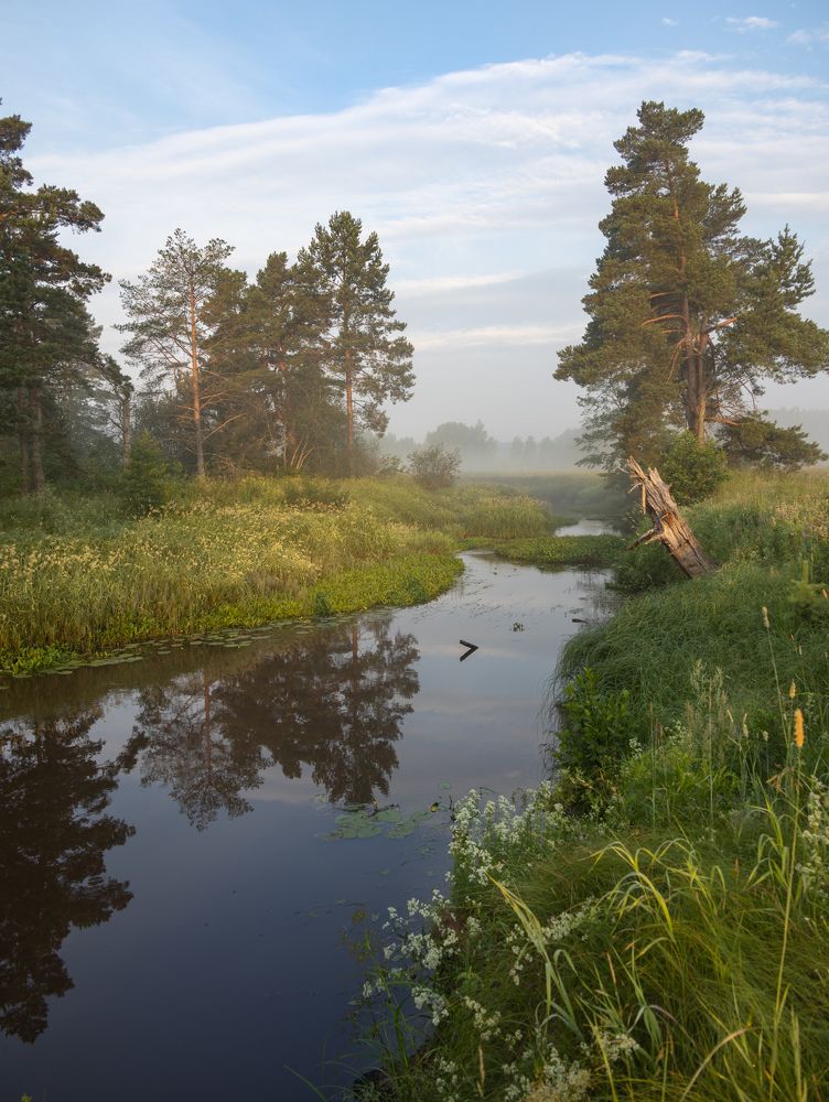 Photograph by Екатерина Лесная