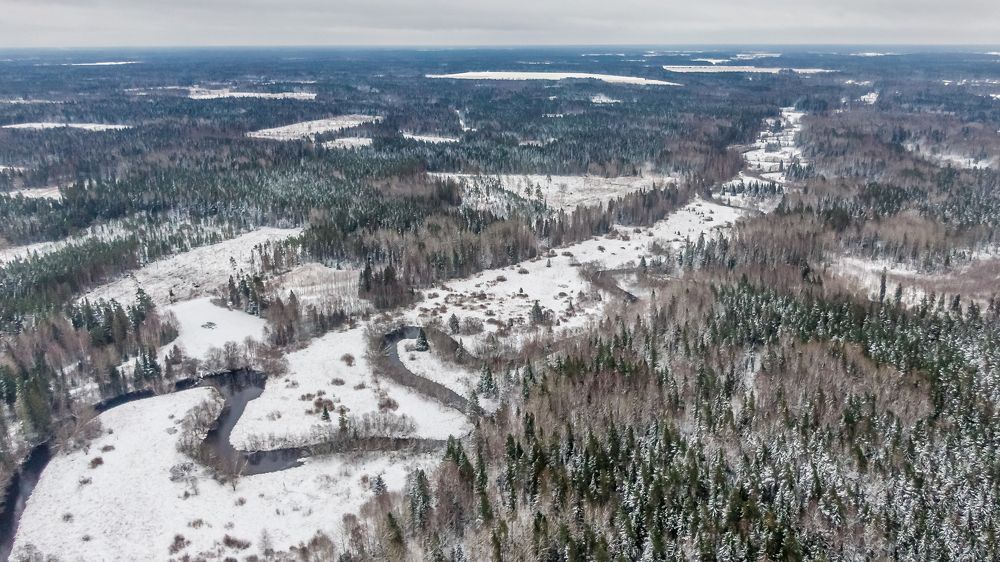 Photograph by Nikolai Mordan