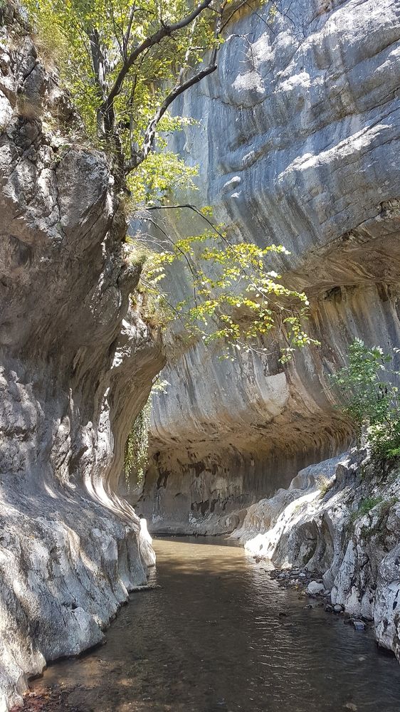 Photograph by Pucs Fongabe