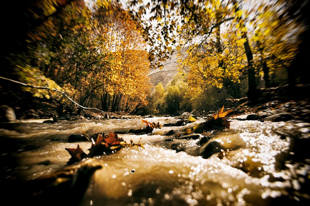 Photograph by DAMOUN POURNEMATI