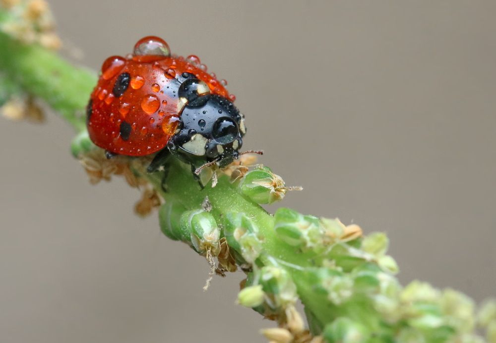 Photograph by Игорь Осипов