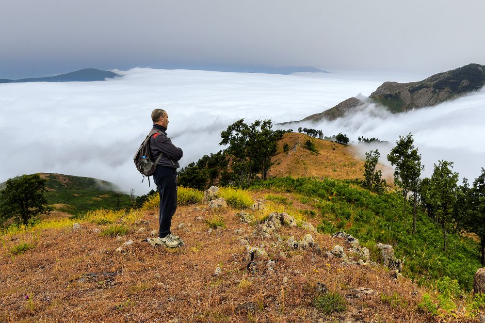 Photograph by Noureddine Belfethi