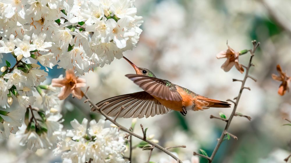 Photograph by Juan Berzunza