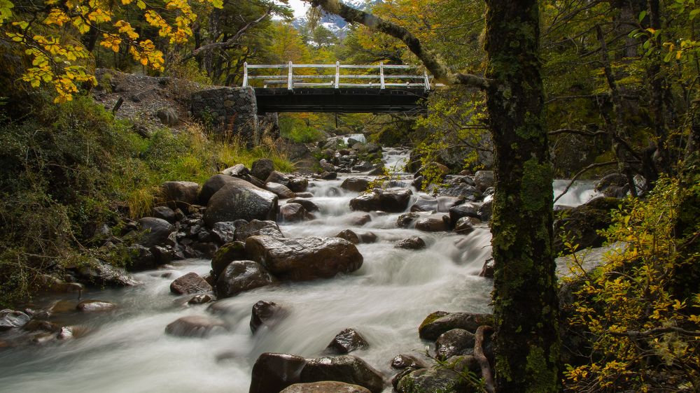 Photograph by Pablo Re