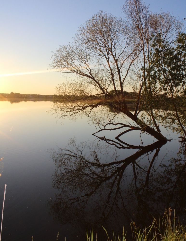Photograph by Марина Ескова