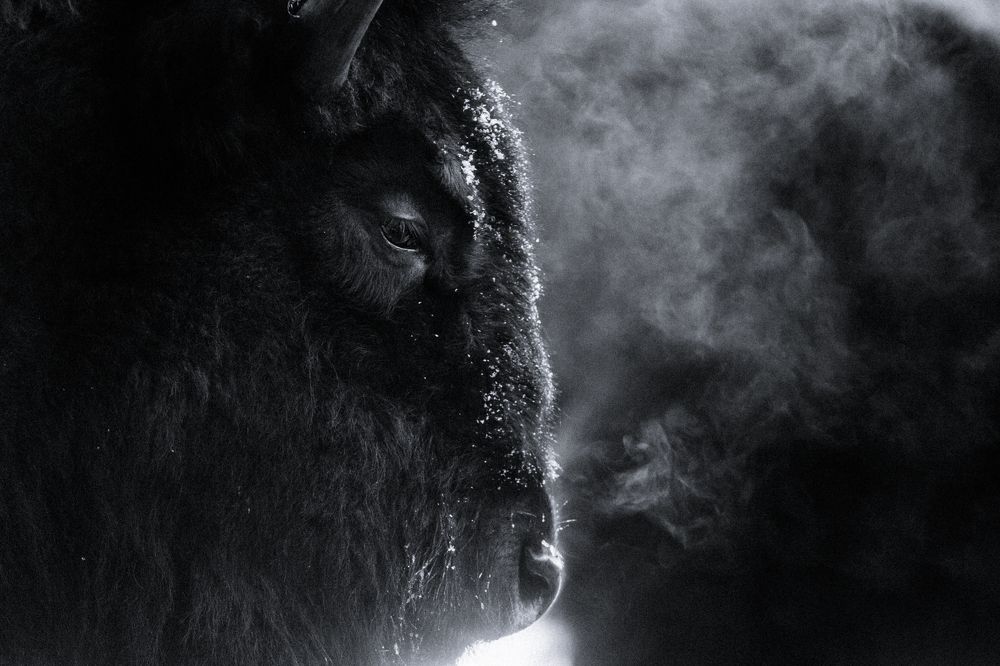 Photograph by Артём Пряхин