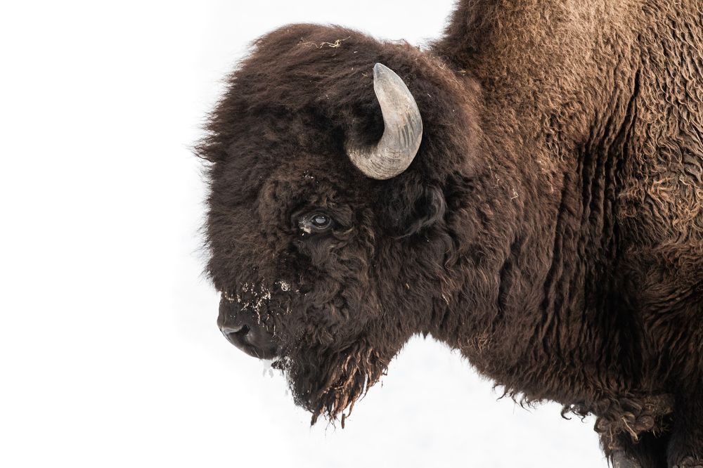 Photograph by Артём Пряхин