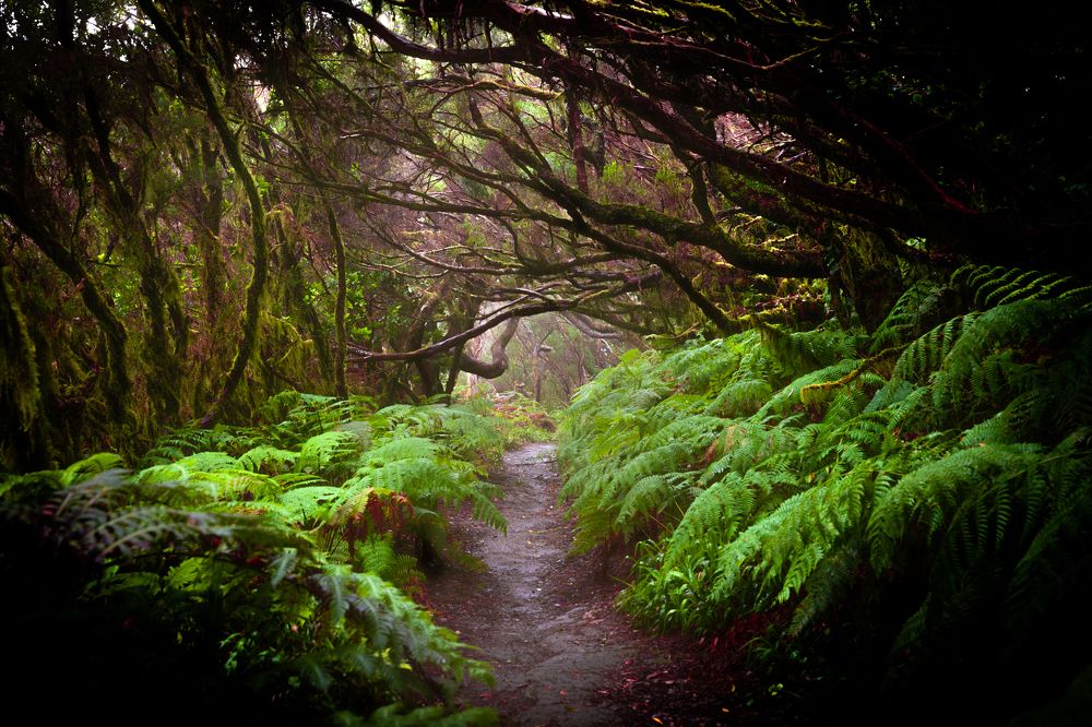 Photograph by Jose Luis Mendez Fernandez