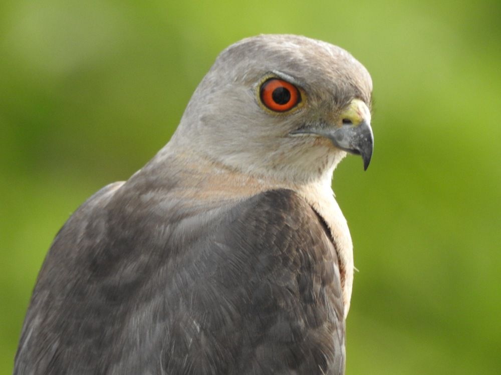 Photograph by Vikas Gangpari