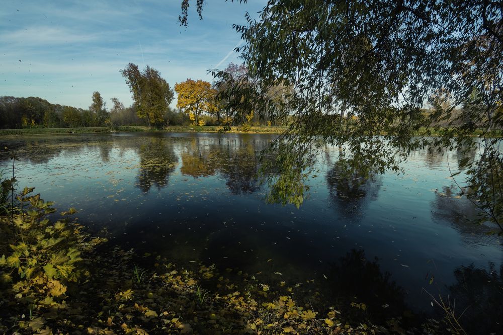 природная зеркало