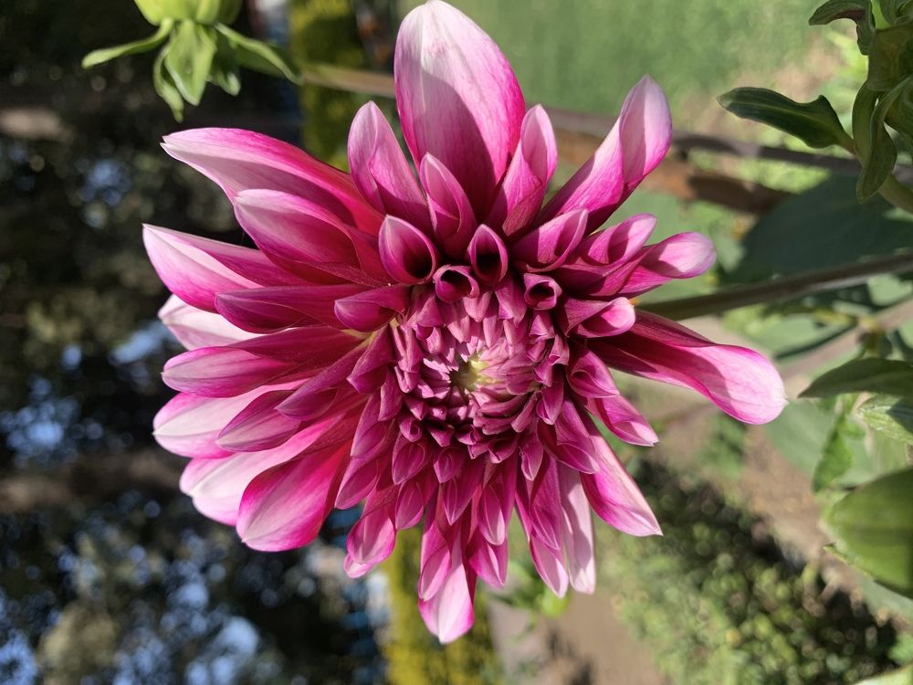 Photograph by Vikas Gangpari