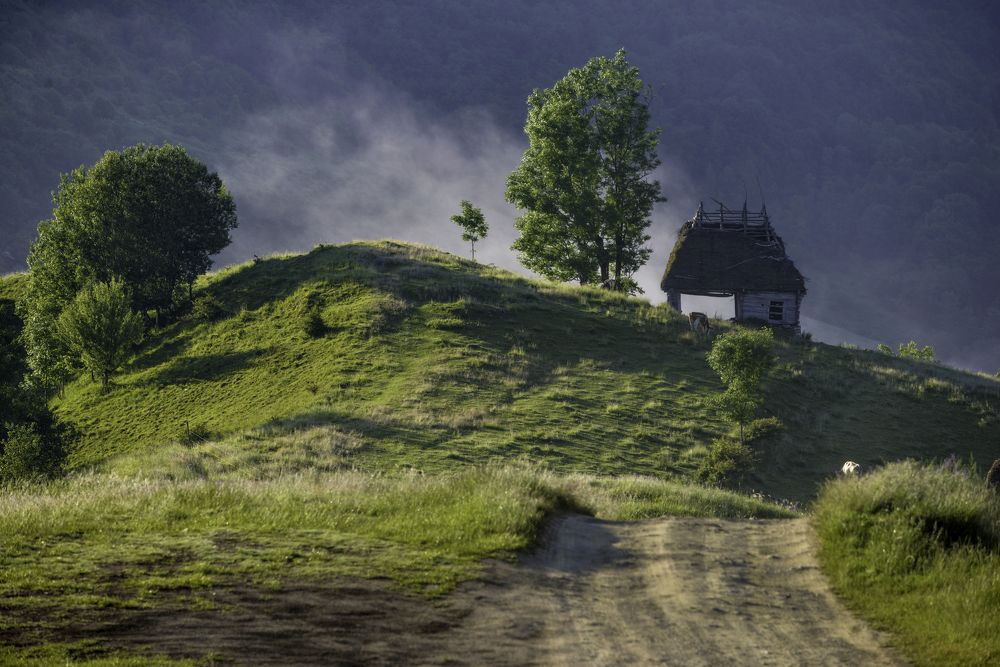 Фотография автора Iulian Vieru