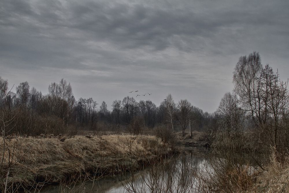 Photograph by Vladlen