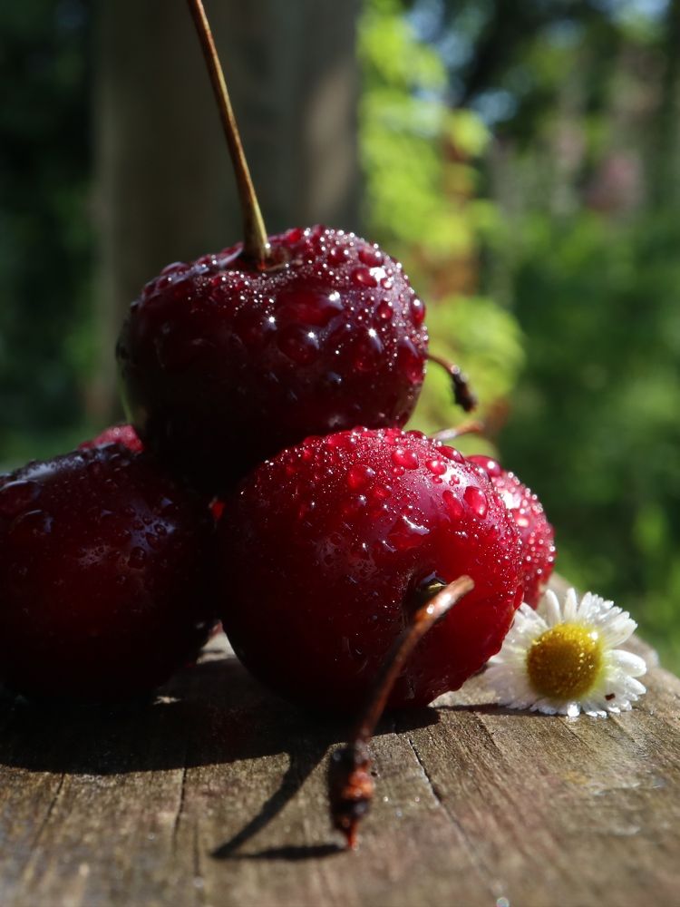 Photograph by Ирина Корабельникова