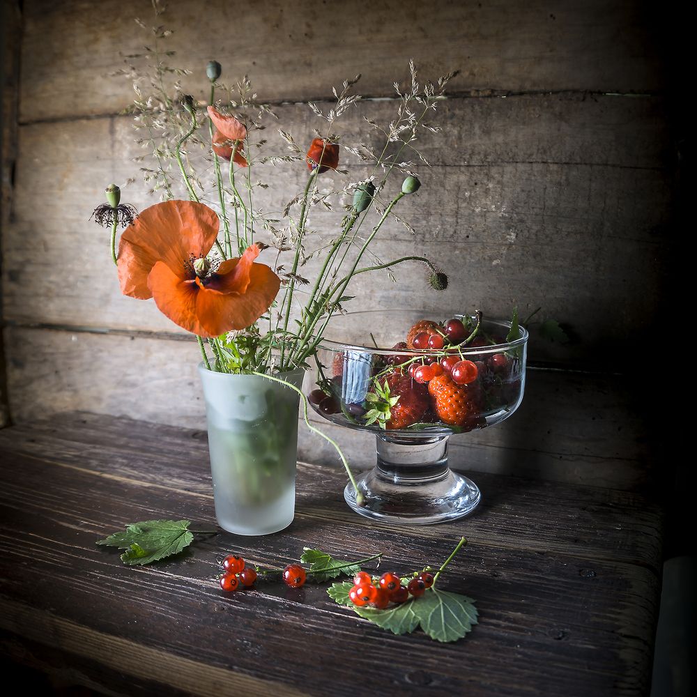 Фотография автора Milena Ivanova