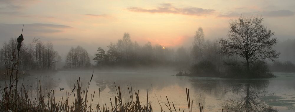 майские рассветы.