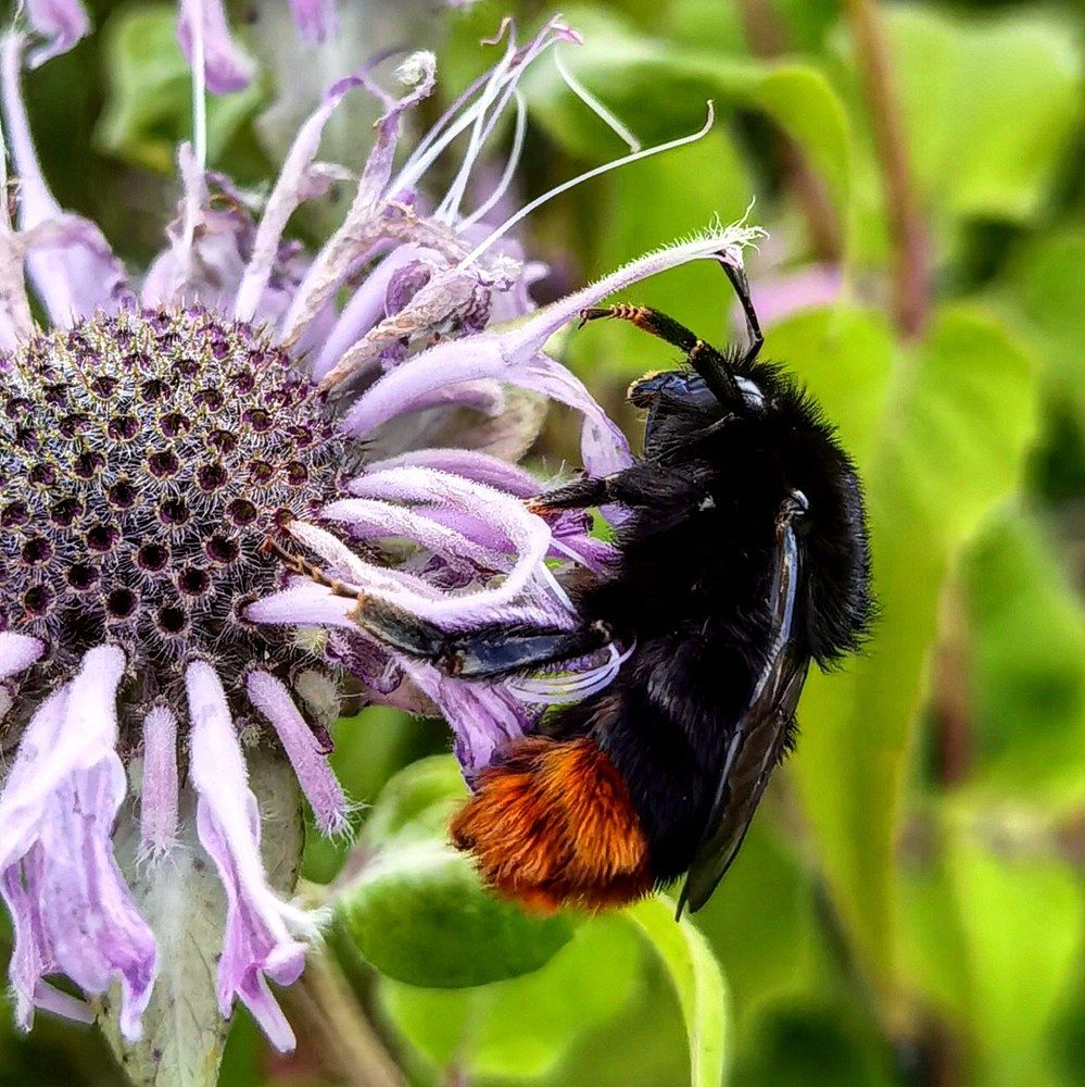 Photograph by Олика