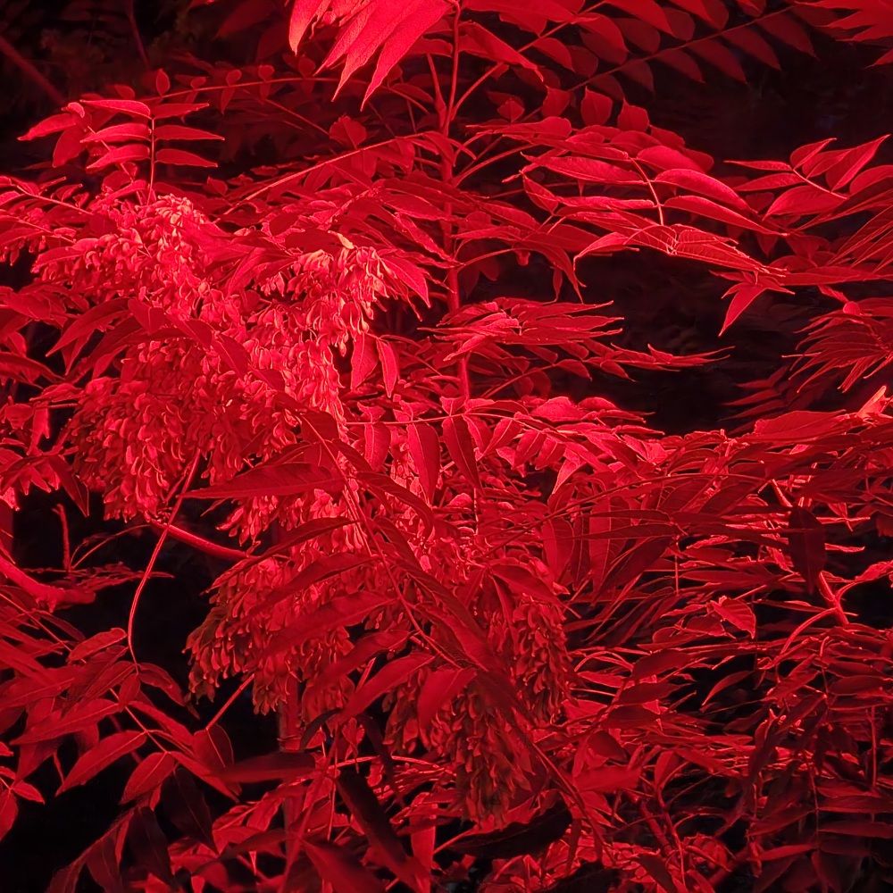 Photograph by Валентина Галич