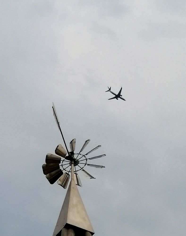 Photograph by Светлана Веселовская