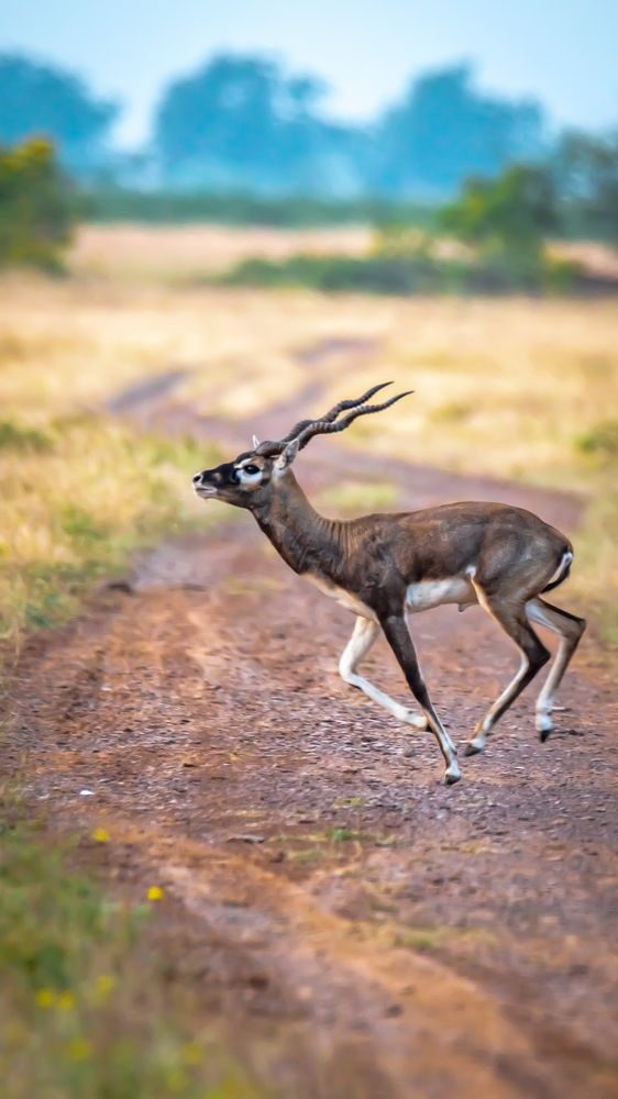 Photograph by Sreenivas Kandukuree