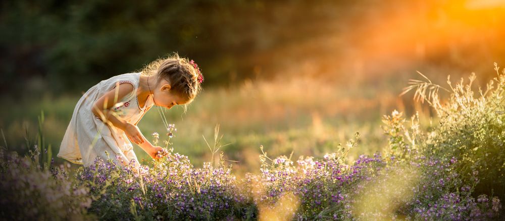 Фотография автора Nicole O’Rourke